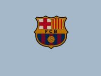 开云体育官网-绝境之光，厄瓜多尔补时奇迹与梅西的统治性表演