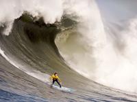 开云体育下载-赛道与绿茵场，当F1新赛季揭幕战遇见贝蒂斯速胜乌克兰