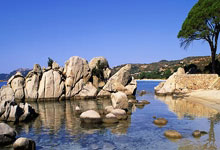 开云体育官方网站-快船客场狂胜，主帅赞叹球队士气高昂