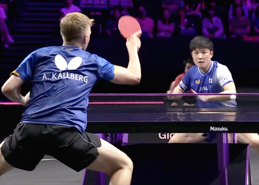 关于中国队横扫德国队,张本智和状态火热的信息 关于中国队横扫德国队,张本智和状态火热的信息