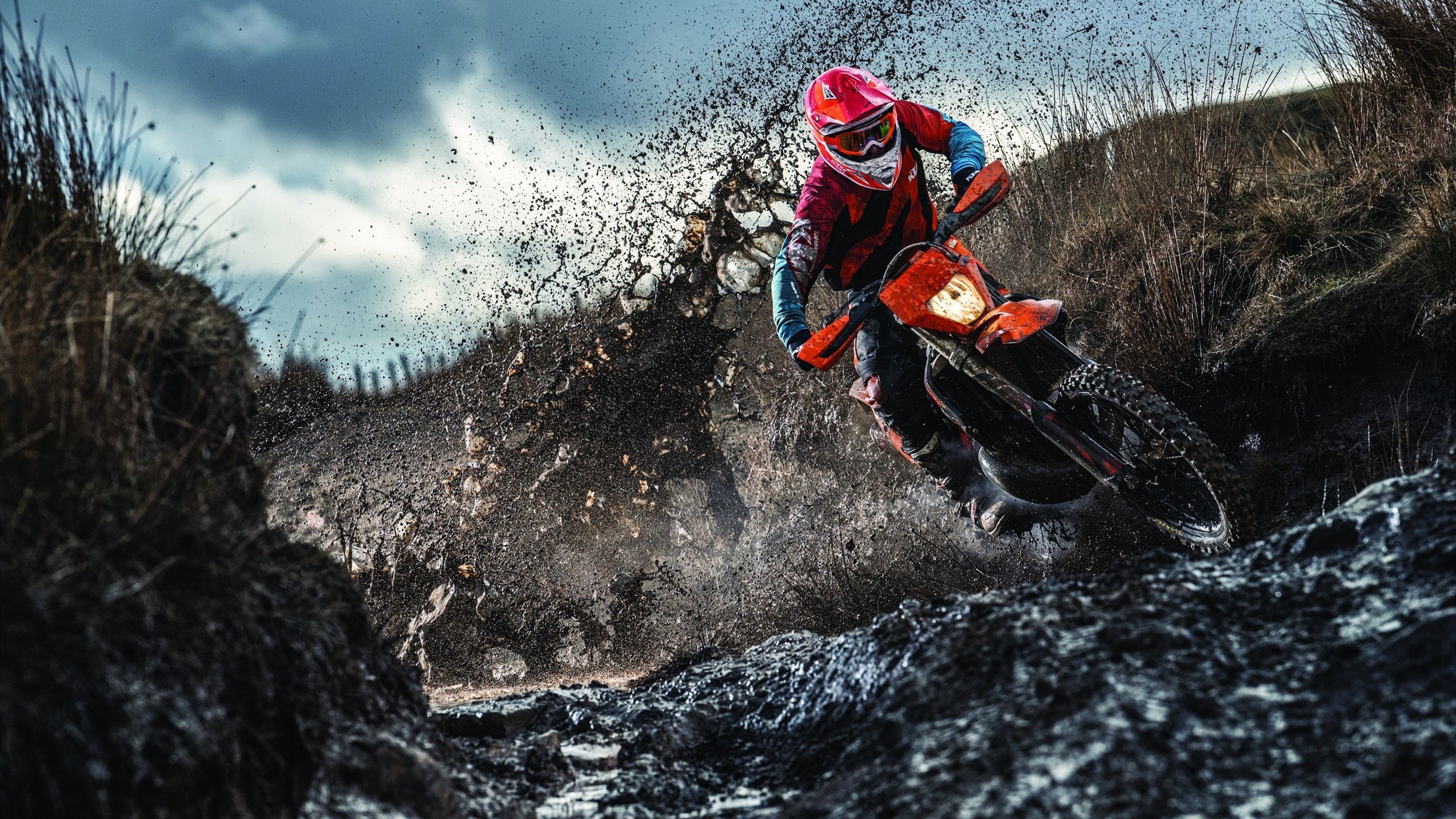 福克斯末节封神，湖人窒息防守压制猛龙终结连败